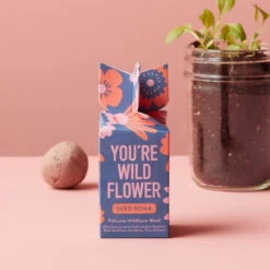 Garden Party Gift Set 10 Garden Party Gift Set -Hickory Farms Elegant Shop youre wild seed bomb 003712 alt 3